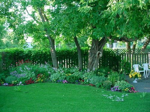 Flower Garden Ideas Shade 36 best landscape images on pinterest | shade landscaping Flower Garden Ideas Shade 36 best landscape images on pinterest | shade landscaping