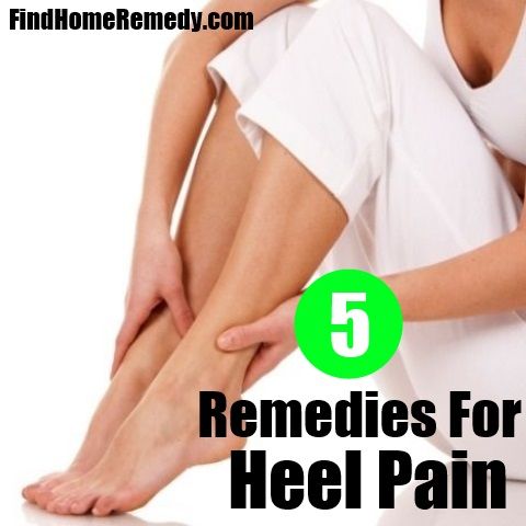 Natural Home Remedies For Getting Rid Of Ants Natural Home Remedies For Getting Rid Of Ants