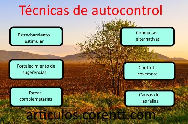 Técnicas De Autocontrol Desarrollo Personal Autocontrol Inteligencia Emocional El Arte De La Seducción