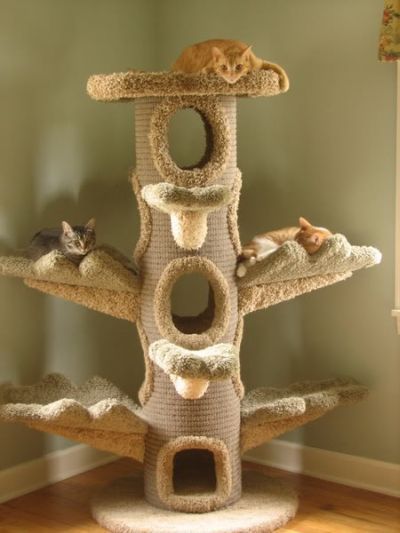 21 Best Cat Trees Houses Beds Images On Pinterest Pets This Is One Of The Craziest Cat Trees We Have Ever Seen Would Be