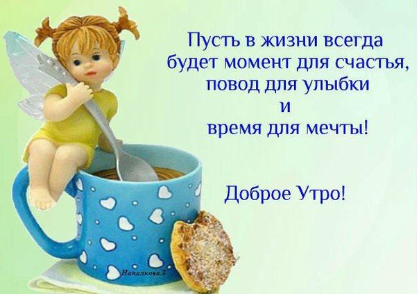 Привет доброе утро картинки прикольные с высказыванием, черепашка картинки