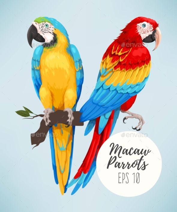 Wall Sculpture Macaw Parrot Art Decor Outdoor Tropical Patio Porch Bird Statue