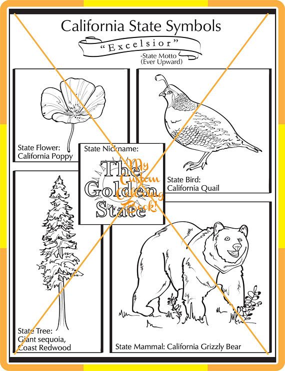 california state symbol coloring page download