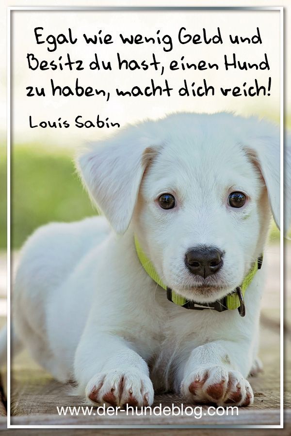 Zitate über neue bekanntschaften