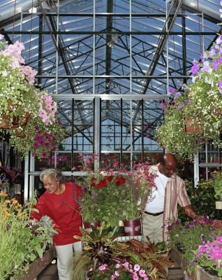 A Plant Nursery Owner Wants To Make Thenurseries A Plant Nursery Owner Wants To Make Thenurseries