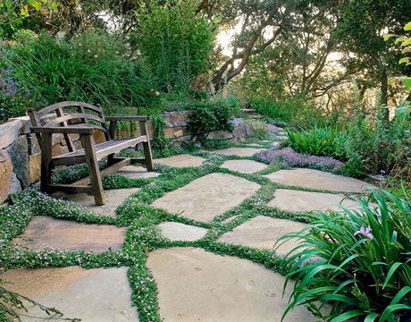 11 of the best ground cover perennials backyard walkwayflagstone patiobackyard ideasgarden - Flagstone Patio Designs 11 of the best ground cover perennials backyard walkwayflagstone patiobackyard ideasgarden - Flagstone Patio Designs