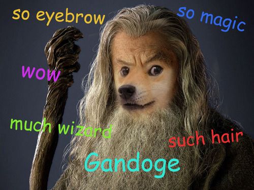 best 25 doge meme ideas on pinterest doge, funny doge and owned bd346f3264fcbd4a9d586818e2e3a3e2 doge meme gandalf best 25 doge meme ideas on pinterest doge, funny doge and owned,Doge Meme Wallpaper