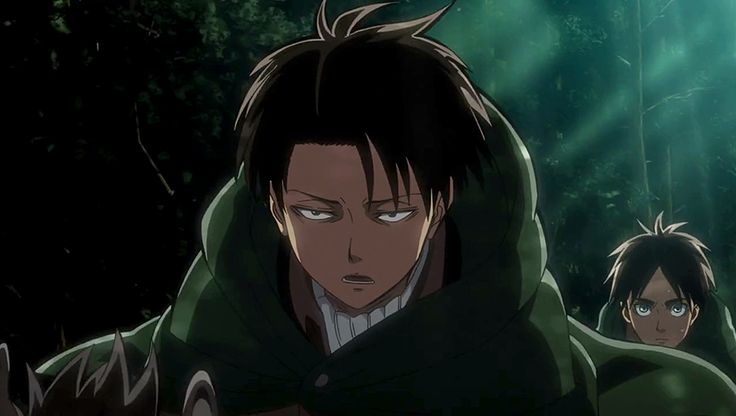 The Forest of Giant Trees (Episode) | The attack of giants levi, Attack