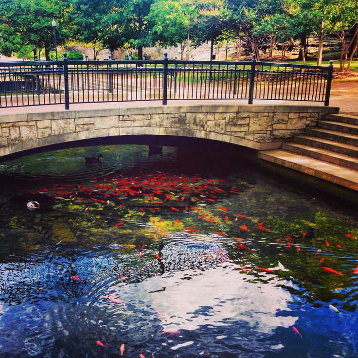 Big Spring Park in Huntsville AL Photo by: Elizabeth Russell