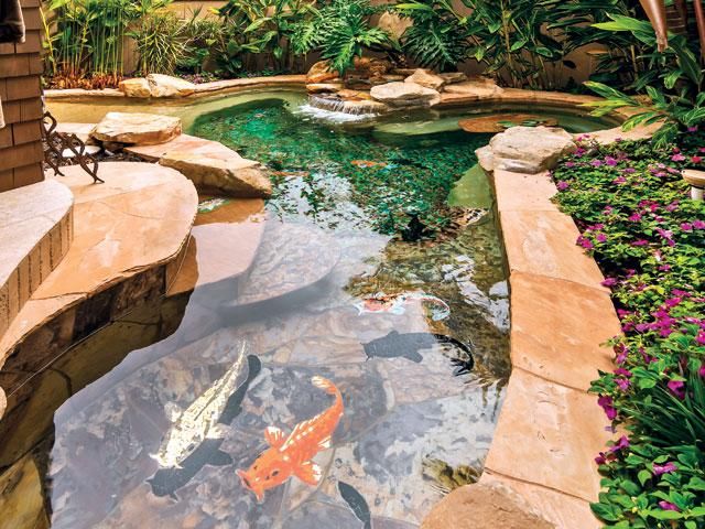 koi pond ponds backyard fish ponds backyard fish pond