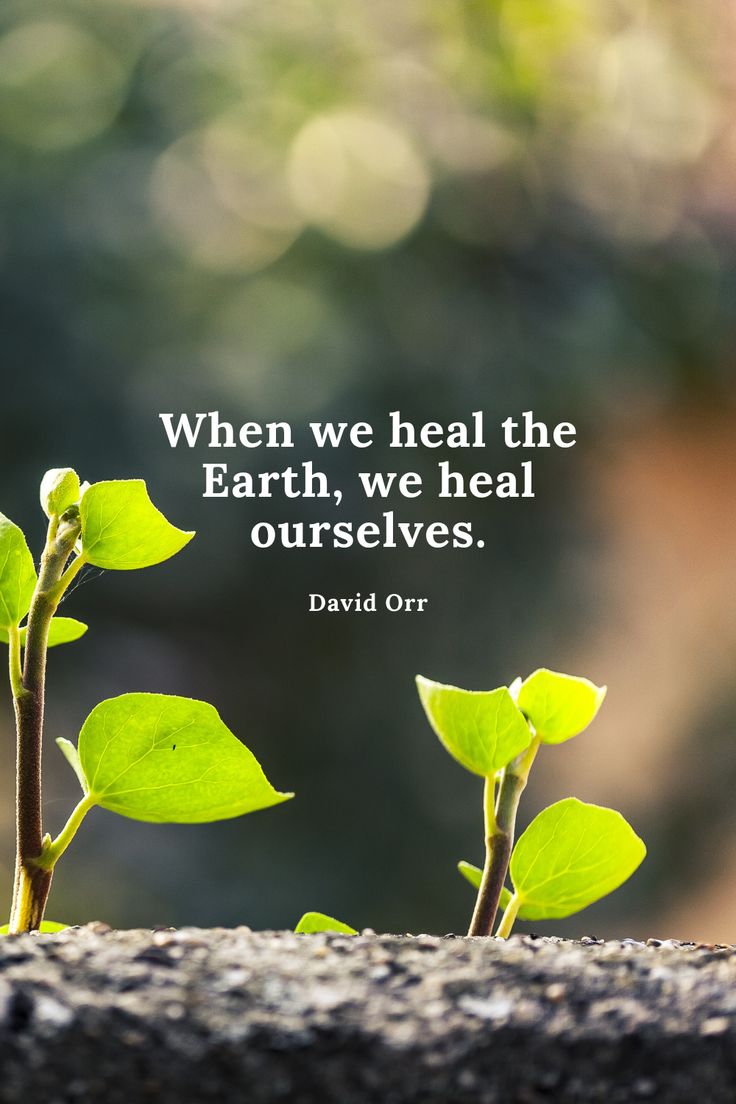 When we heal the Earth, we heal ourselves. - David Orr | Nature quotes