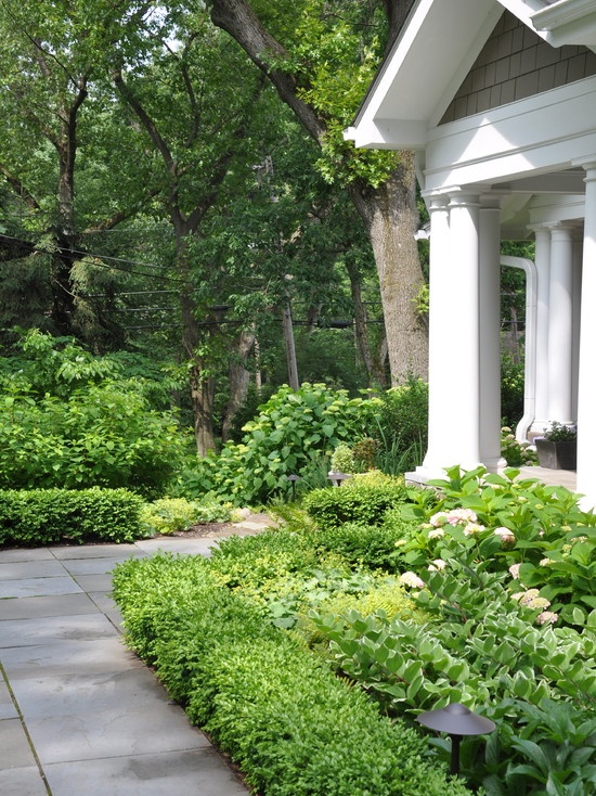 61 best g a r d e n front yard images on pinterest 61 best g a r d e n front yard images on pinterest