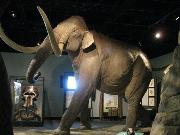Ice Age Exhibit At Nature Center Ice Age Exhibit At Nature Center