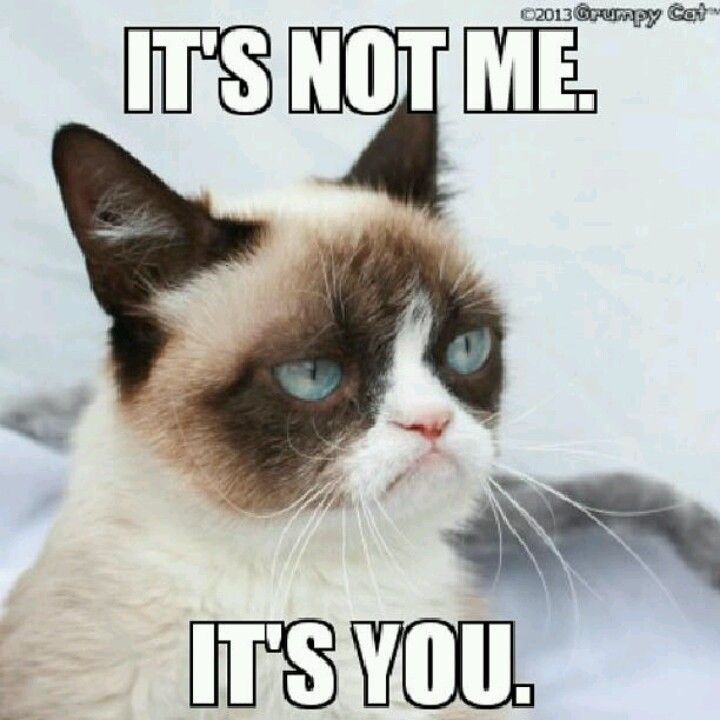22 best grumpy cat (clean) images on pinterest grumpy kitty bdf611440b82d9492c94f736454e1af2 grumpy cat quotes grumpy cat meme 22 best grumpy cat (clean) images on pinterest grumpy kitty,Funny Clean Grumpy Cat Memes
