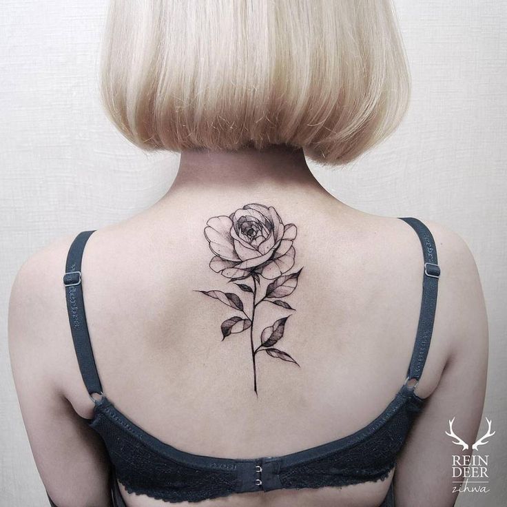 blackwork illustrative rose tattoo on the upper back blackwork illustrative rose tattoo on the upper back