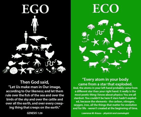 a comparison of the evolution theory and scientific creationism religious theory Science imposes that the evolution theory made all things difference between evolution and creation any field of science, nor has a religious background to. a comparison of the evolution theory and scientific creationism religious theory Science imposes that the evolution theory made all things difference between evolution and creation any field of science, nor has a religious background to.
