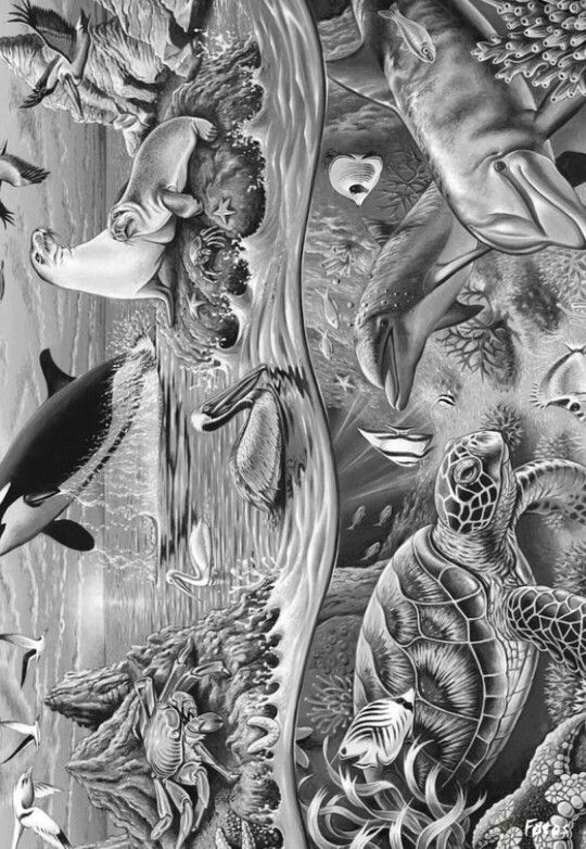 This is a photo of Peaceful artzone coloring books This is a photo of Peaceful artzone coloring books