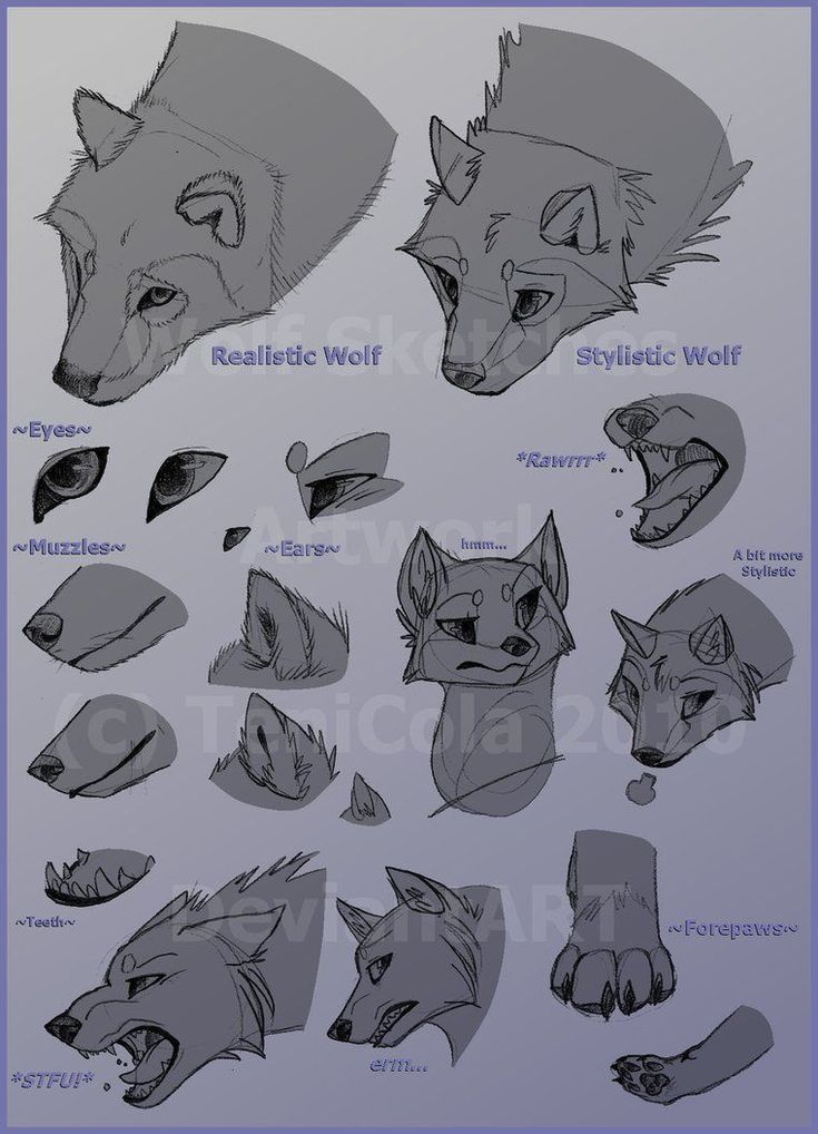 Anime Review Wolf’s Rain Anime reviews, Anime, Wolf