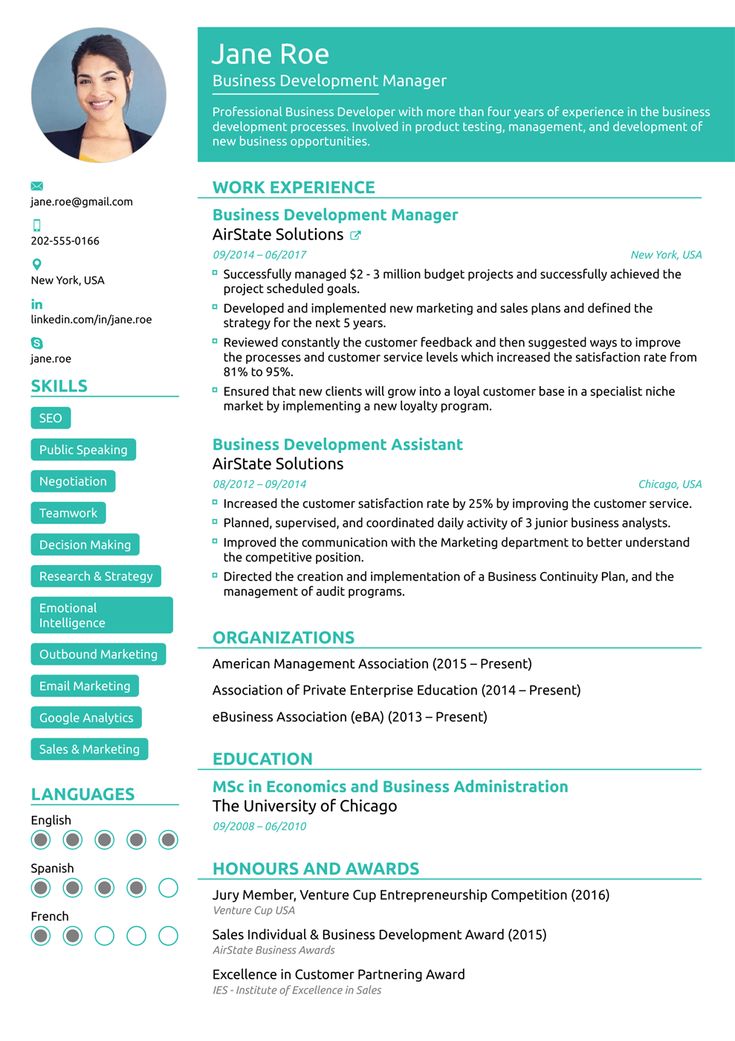 Resume Templates and Resume Examples Chronological