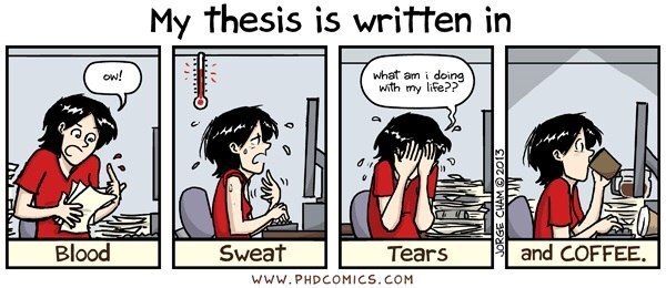 Rabbit phd thesis