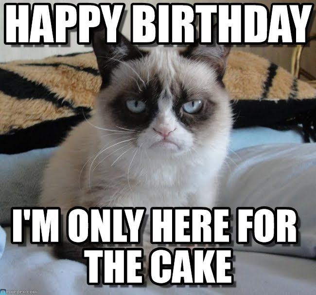 870 best grumpy cat!!! images on pinterest grumpy kitty, cats be8d5a57134deb7d97f7714dddafbf17 funny happy birthday meme funny happy birthdays 870 best grumpy cat!!! images on pinterest grumpy kitty, cats,Busier Than A Meme