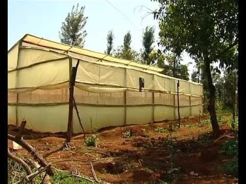 How To Build Low Cost Greenhouse Farming How To Build Low Cost Greenhouse Farming