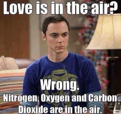 top 25 best valentines day memes ideas on pinterest valentines be9f52f2e86cec847bd4599d4b79620b funny single memes funny memes top 25 best valentines day memes ideas on pinterest valentines,Best Valentines Day Memes