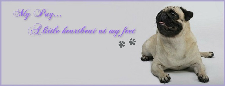 odie the pug the 25 best pug quotes ideas on pugs pug puppies and pugs odie the pug the 25 best pug quotes ideas on pugs pug puppies and pugs