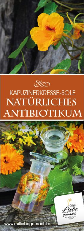 Alkoholfreie Tinktur mit Kapuzinerkresse! Ein natürliches Antibiotikum - ein Ha...