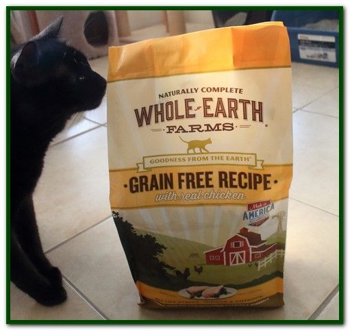 Good Cat Food Brands | Cat food brands, Best cat food, Cat food