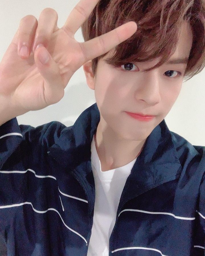seungmin entertainment fandom kim seungmin entertainment fandom kim