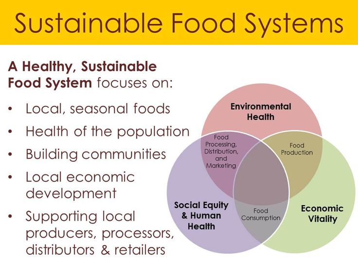 Sustainable Food City Network Sustainable Food City Network