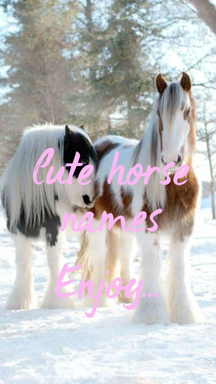 Cute Horse Names Horse Names Unique Horse Names Cute Animal Names 70-funny-horse-names-puns-best-ever-horse-bonding-success