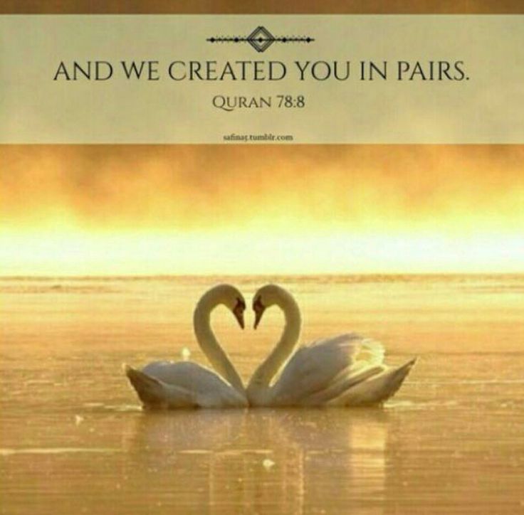 The glorious Quran Quran Pinterest Quran, Islam and The glorious Quran Quran Pinterest Quran, Islam and