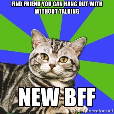 the 25 best introvert cat ideas on pinterest anxiety cat meme bf0f40b27088cd02c7442fa5afe905cf introvert cat find friends the 25 best introvert cat ideas on pinterest anxiety cat meme