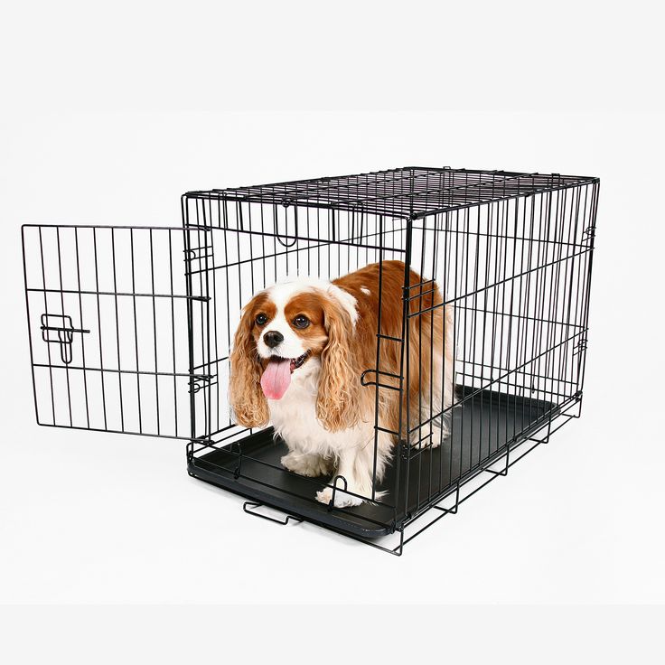 15 best our crates images on pinterest compact double doors and medium size dog crate