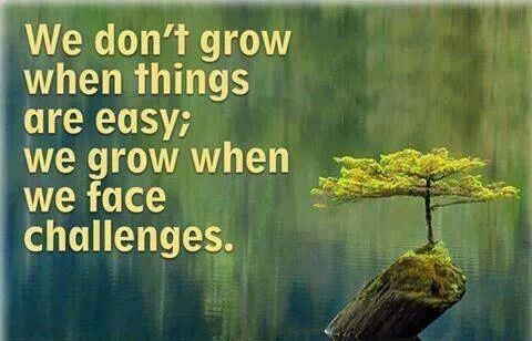 Quotes | Challenge quotes, Quotes about children learning, Challenges