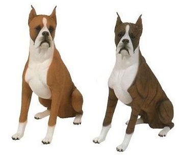 boxer dog uncontrollable head shaking best 20 boxer dog names ideas on pinterest boxer boxer puppies boxer dog uncontrollable head shaking best 20 boxer dog names ideas on pinterest boxer boxer puppies