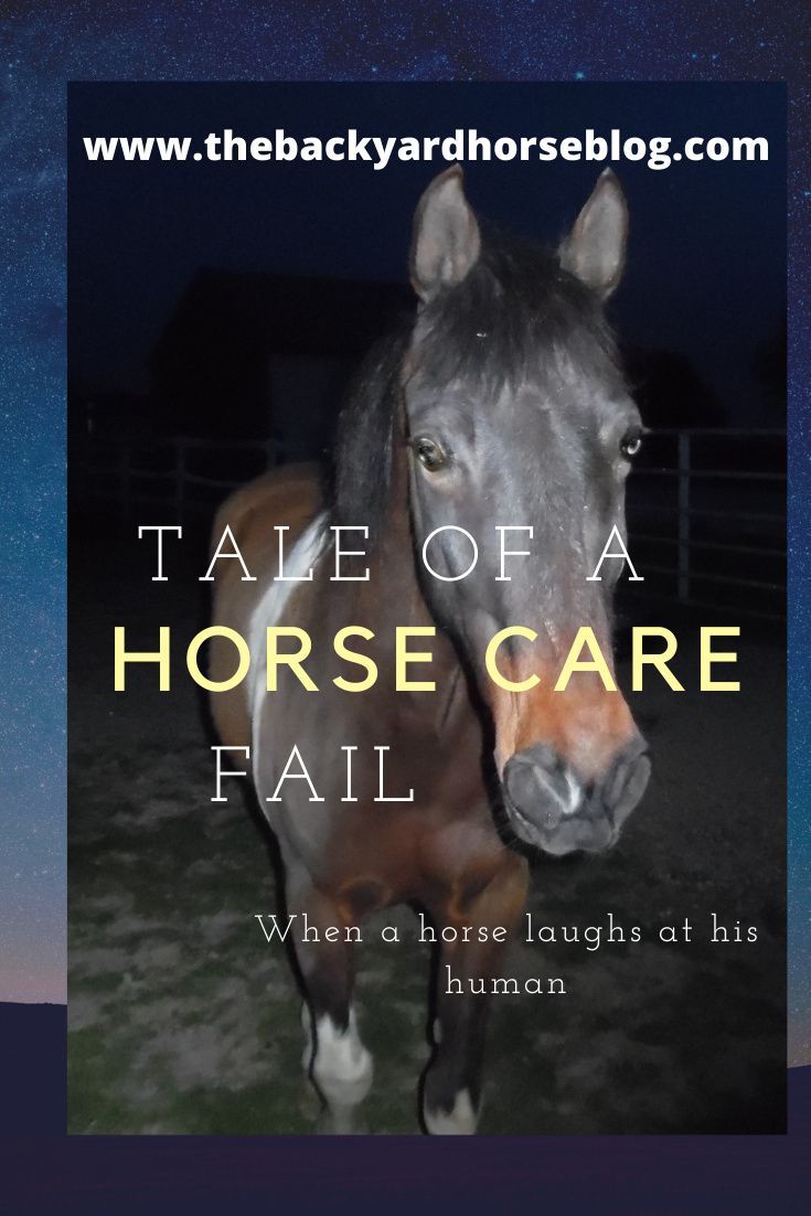 Pin On Backyard Horse Keeping [ 1102 x 735 Pixel ]