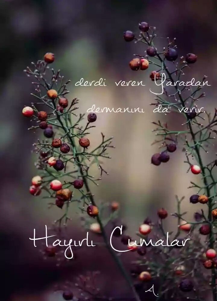 Ceyhan Dogan Adli Kullanicinin Hayirli Cumalar Panosundaki Pin Mesajlar Dini Alintilar Islamic Quotes