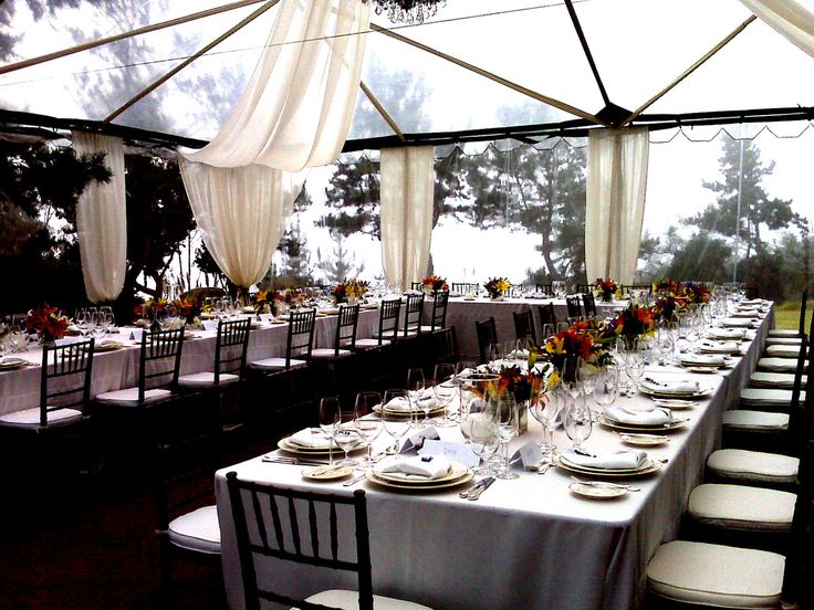 55 best chiavari chairs images on pinterest chiavari chairs event
