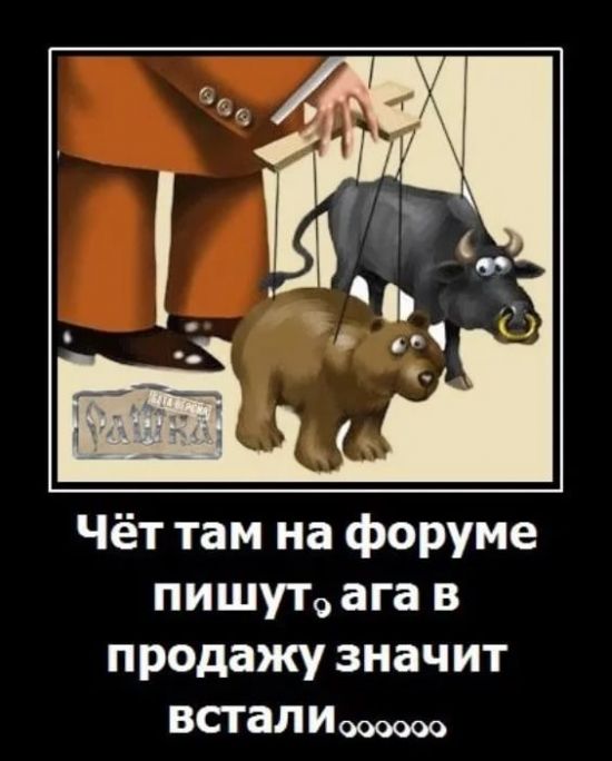Картинки приколы трейдер, девушка