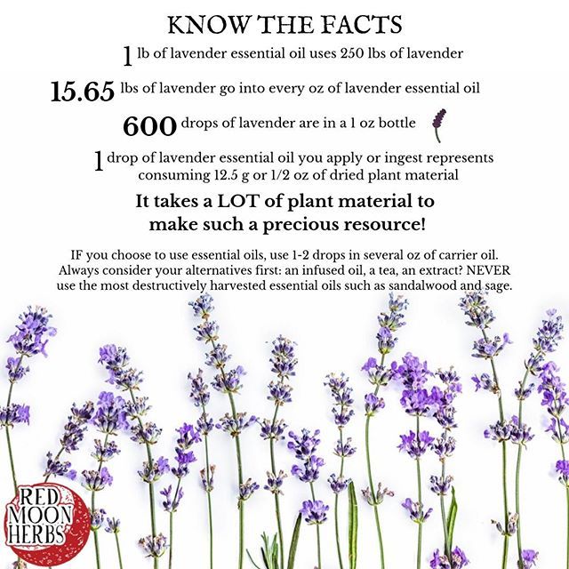 What Are The Most Valuable Benefits Of Using Lavender Oil Lavender Essential Oil Uses Lavender Oil Benefits Essential Oils
