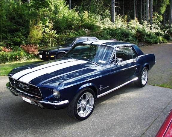 Best 25 Ford mustang coupe ideas on Pinterest Best 25 Ford mustang coupe ideas on Pinterest