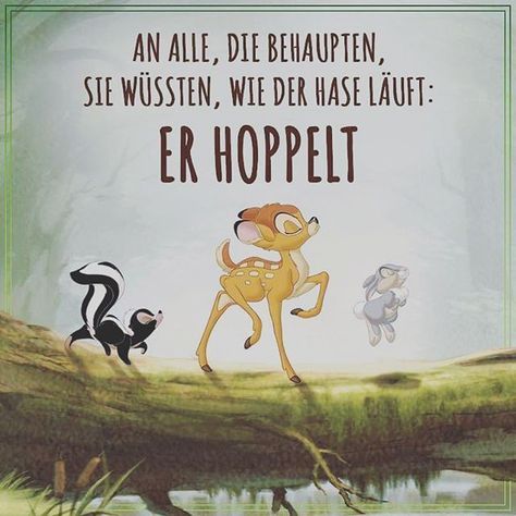 Lustige er sucht sie sprüche