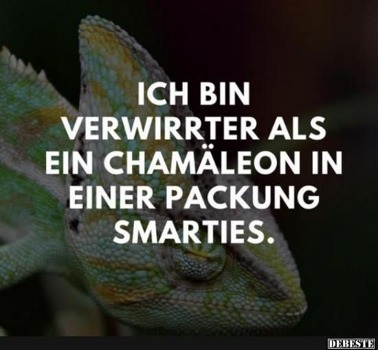 Ich bin verwirrter als ein Chamäleon in einer Packung Smarties. | Lustige Bilder, Sprüche, Witze, echt lustig Ich bin verwirrter als ein Chamäleon in einer Packung Smarties. | Lustige Bilder, Sprüche, Witze, echt lustig