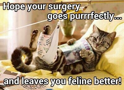 52 best get well soon images on pinterest get well, get well cards c000b9e2601a4d8ddb087b857d4cf957 get well cards funny animals 52 best get well soon images on pinterest get well, get well cards