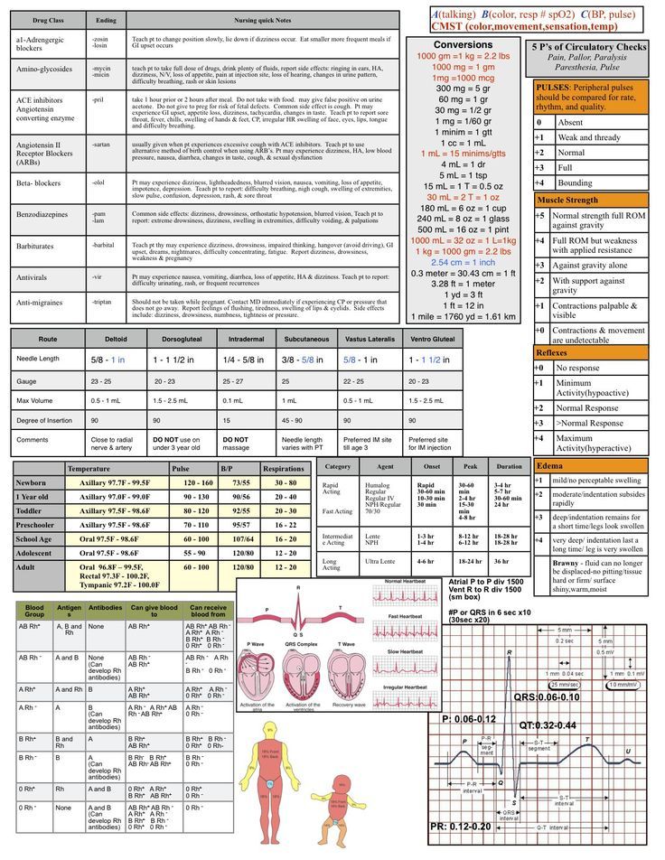 Best 25+ Nursing physical assessment ideas on Pinterest Health - physical exam template Best 25+ Nursing physical assessment ideas on Pinterest Health - physical exam template