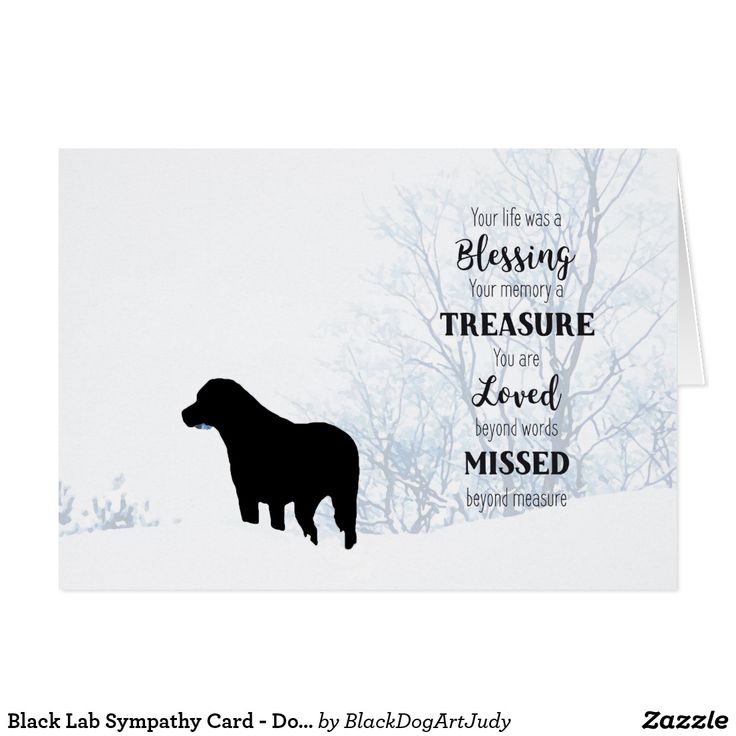 Black Lab Sympathy Card Dog Sympathy Pet Loss in 2021