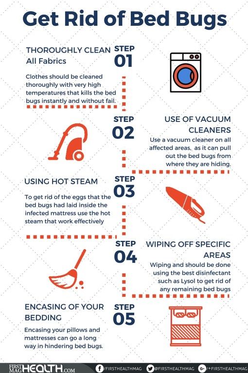 24 Best D Pest Control Co Kinston Nc 28504 Images On Get Rid Of Bedbugs Effectively 1